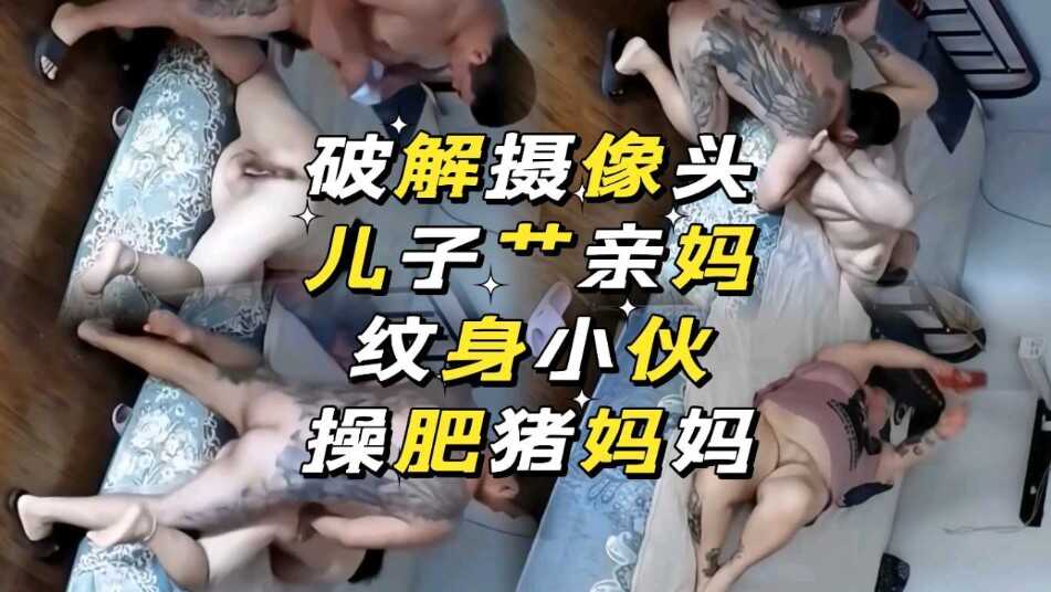 两性色午夜免费无码视频,亚洲人成精品老牛